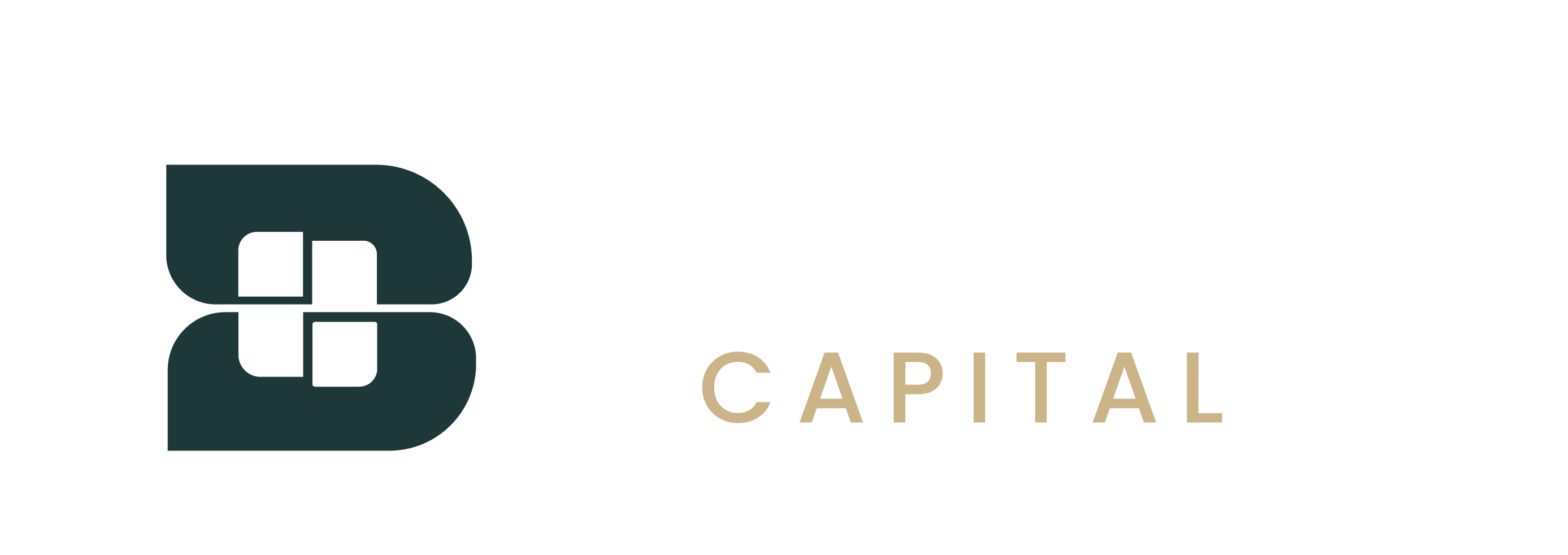 Black Elite Capital